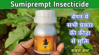 Sumiprempt Insecticide || बैंगन का कीड़ा को चुटकियों में कंट्रोल कीजिए screenshot 2