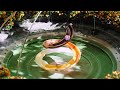 🤩 Oddly Satisfying Challenge | Daniel Christensen | Hypnotic Loop with Calming Precision