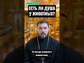 ЕСТЬ ЛИ ДУША У ЖИВОТНЫХ?