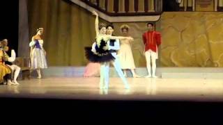 Cisne Negro PDD (Black Swan) - Laura Valentin y Jose Rodriguez - Balleteatro Nacional de PR