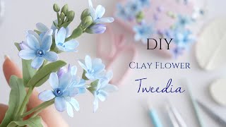 粘土で作るブルースターの花　クレイフラワーの作り方　How to make clay tweedia flower