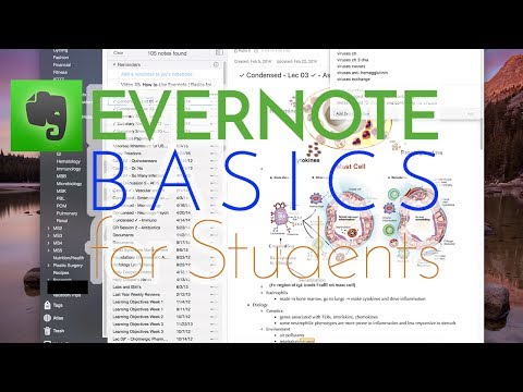 How to Use Evernote | Basics for Students
