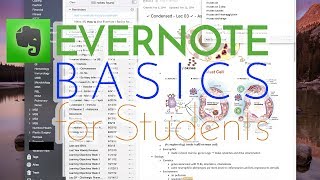 How to Use Evernote | Basics for Students screenshot 3