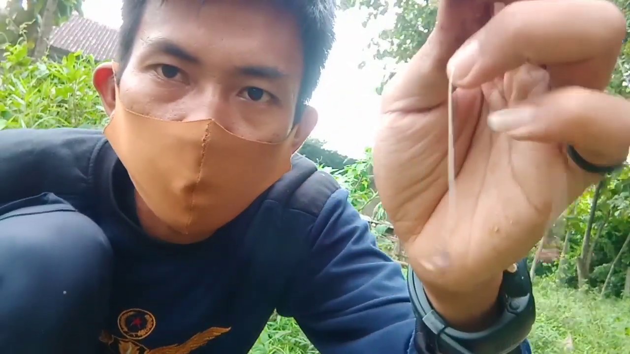 Mancing Di Rawa hasil nya gak menyangka