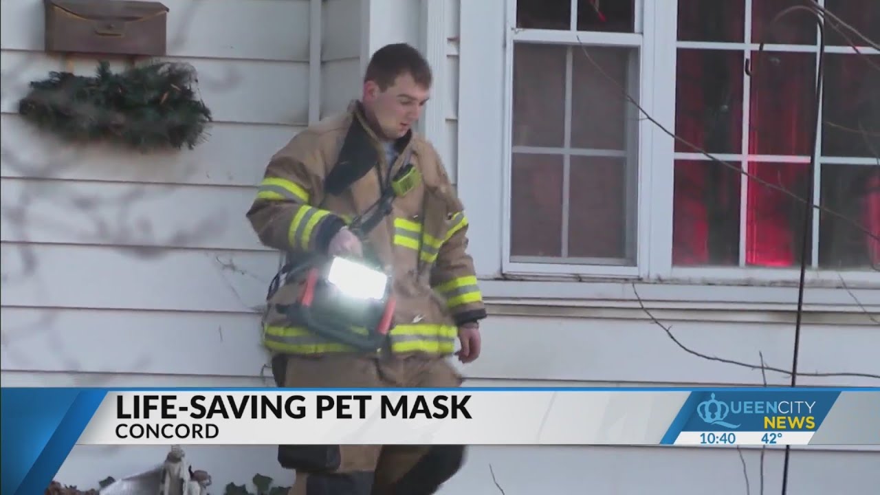 Concord firefighters save dogs from house fire with pet oxygen mask ...