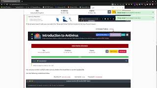 Celebrity TryHackMe #486 Introduction to Antivirus Net Worth