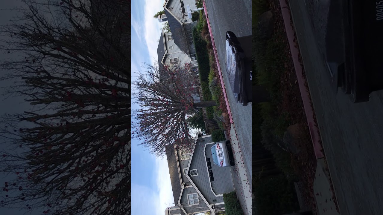 Recycling (Plastics) Collection with Truck #22 (Ella) - Autocar ACX Heil DuraPack 5000