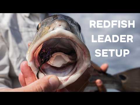 Best Leaders for Redfish | Fly Fishing Leader Setup Explained