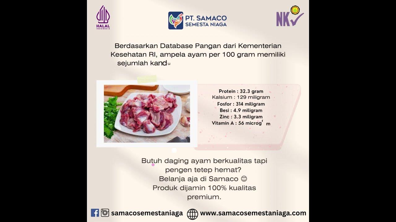 Fakta Kandungan dan Manfaat Ampela Ayam