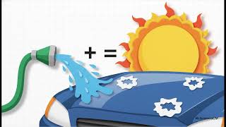Mojave Proof: The Physics of Desert Auto Preservation