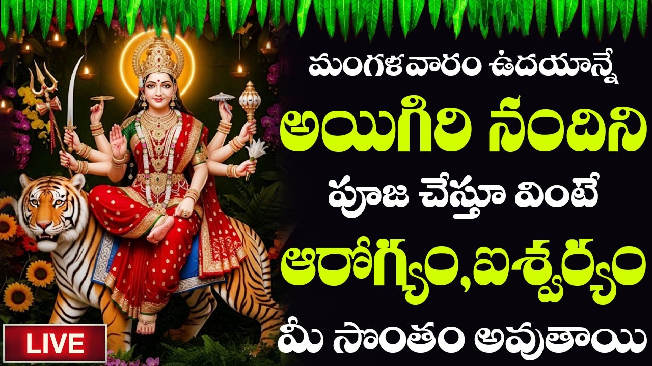 LIVE | అయిగిరి నందిని మంగళవారం పూజ చేస్తూ వింటే మీ దోషాలన్నీ తొలిగిపోయి సంతోషంగా ఉంటారు #durgamaa