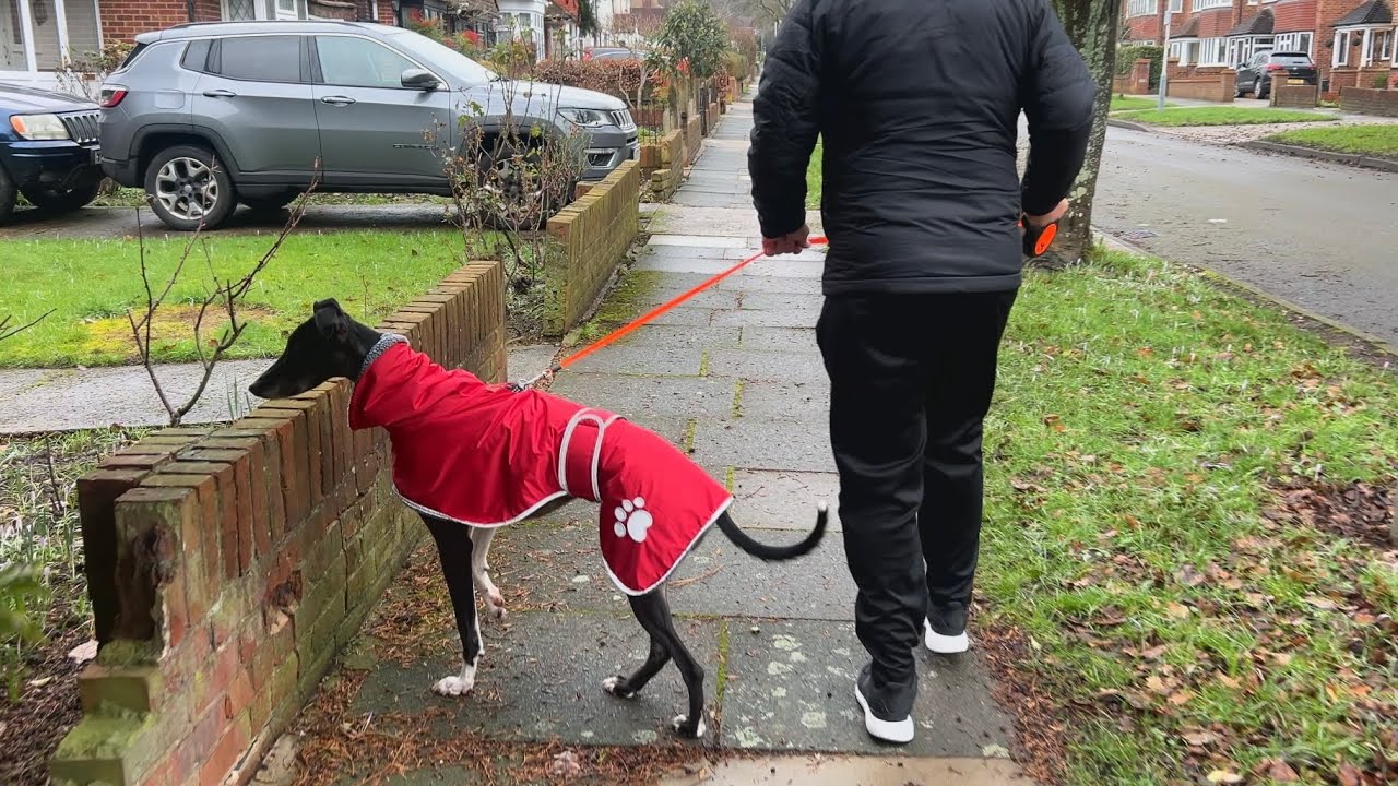 Test drive the Gimble Part 2