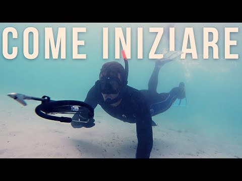 Video: Come Andare A Pescare In Apnea