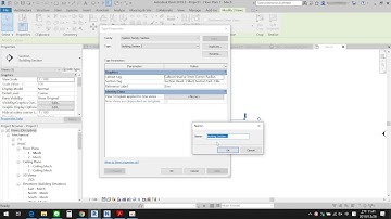 How to delete section view type in revit