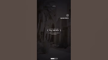 اكتب شيء تؤجر عليه #سورة _القصص #القارئ_محمد_المشاوي #صلوا_على_محمد #اكسبلور