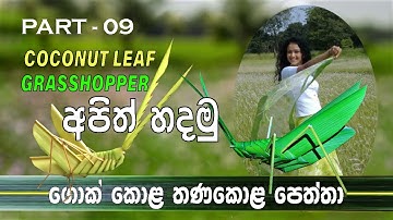 How to make Coconut leaf Grasshopper