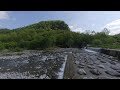 [VR180 3D] 10 min static japanese nature scenes 004 [Insta360 EVO 5.7K]