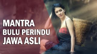 Mantra Bulu Perindu Jawa, Tak Kalah Sakti dari Mantra bulu Perindu Dayak [BUKTIKAN SENDIRI]