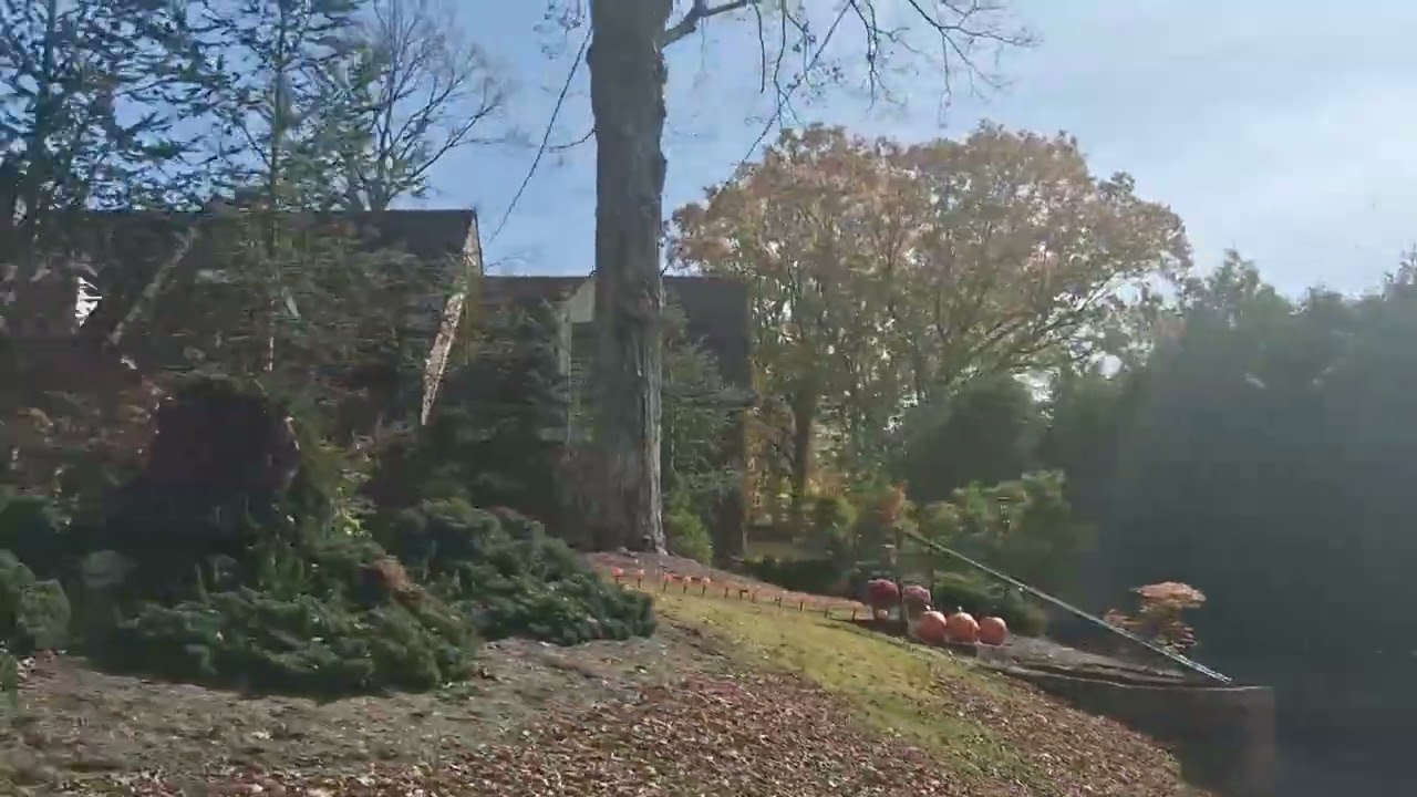 Поездка по Блуфилду, Западная Вирджиния, и историческим домам Эджвуда. 