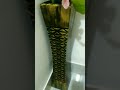 home decor #subscribe #shortvideo #youtubeshorts #youtube #homedecor #decoration