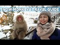 Snow Monkeys of Japan | Jigokudani Monkey Park Nagano Travel Guide