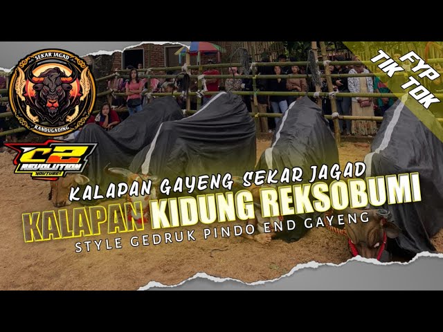 Dj BANTENGAN “KIDUNG REKSO BUMI” Sekar Jagad By C2 Revolution class=