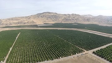 TBS EZUHF unknown failure 2 2 miles out