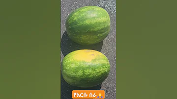 June 11 2025 