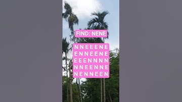 Observation Visual Test: 5 Seconds ForYou To Spot . Try Your Skills! #search #puzzle