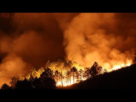 Los incendios en España no dan tregua: más de 16.000 hectáreas quemadas en pocos días