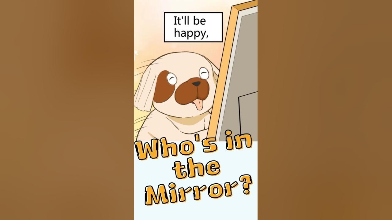 what-happens-when-a-dog-see-its-reflection-animation-magicbuddies