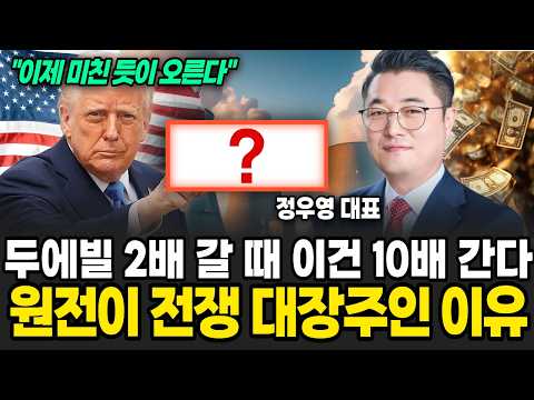 두에빌 2배 갈 때 이건 10배 간다 원전 시장 속 숨겨진 수혜주 (정우영 / 증시임당)