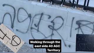 Walking through the East SIDE of South Central L.A | 40’ Avalon Gangsta Crips Territory