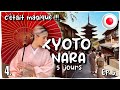Kyoto vlog  escapades enchanteresses dcouvrir la beaut intemporelle de kyoto et de nara japan