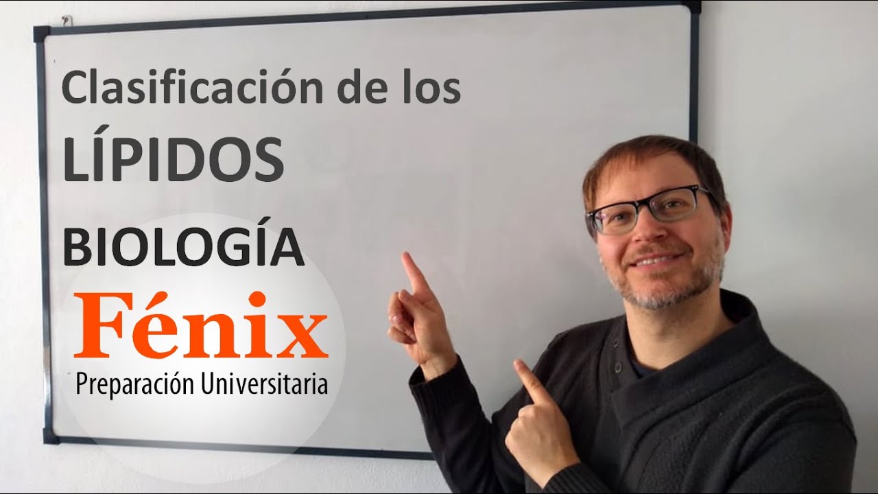 Lípidos - Clasificación y generalidades