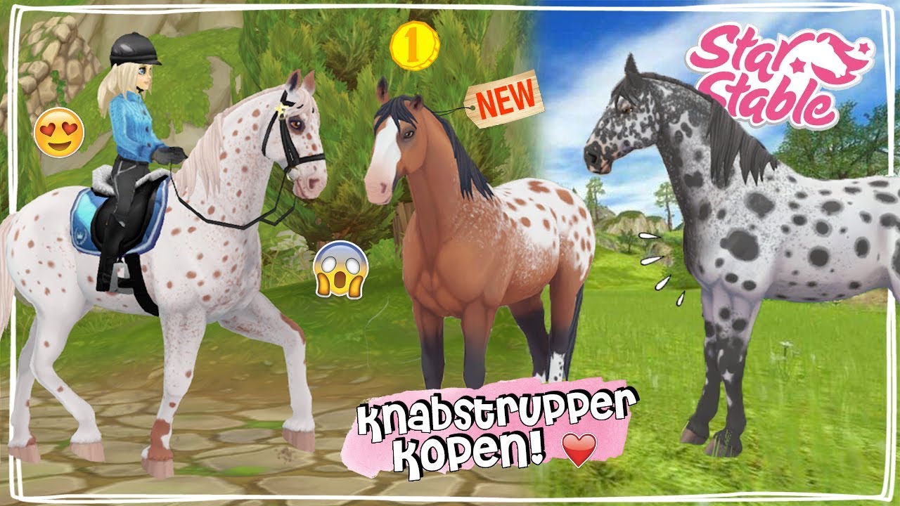 Welsprekend helling Uitstekend NIEUWE KNABSTRUPPER PAARDEN KOPEN!! 😍 - Update | Star Stable Online |  Daphne draaft door - YouTube