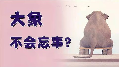 有兩種現存的大象甲和乙同屬於非洲象屬loxodonta另外一種現存的大象丙種則屬於象屬elephas若此分類可反映這些物種的演化關係則下列何者為最合理的演化樹