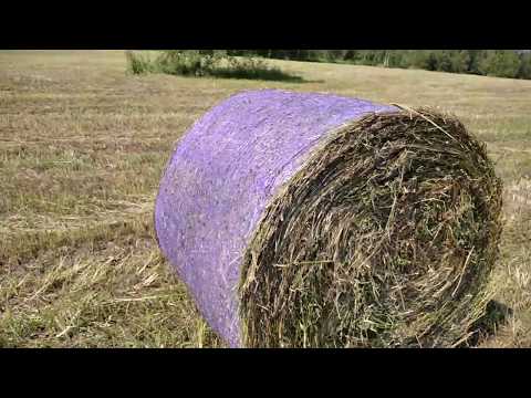 Видео: Рулон сена на севере Италии - Matador Network