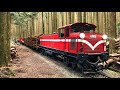 【Alishan Forest Railway】The Logging Train Vol.3