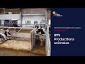 Replay  prsentation du bts productions animales  webinaire du 13 mars 2021