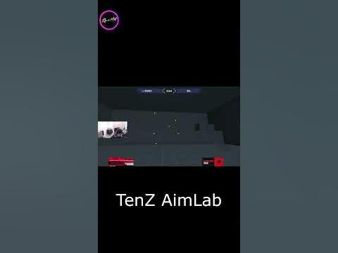 IS TENZ HUMAN ?? Aim Lab TenZ Performance - VALORANT #shorts #valorant