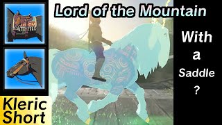 What happens if you glitch a saddle onto the Lord of the Mountain? | Breath of the Wild