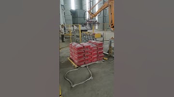 Robot ESTUN ER15-1520-PR ứng dụng gắp bao xếp pallet #estun #binhduongaec