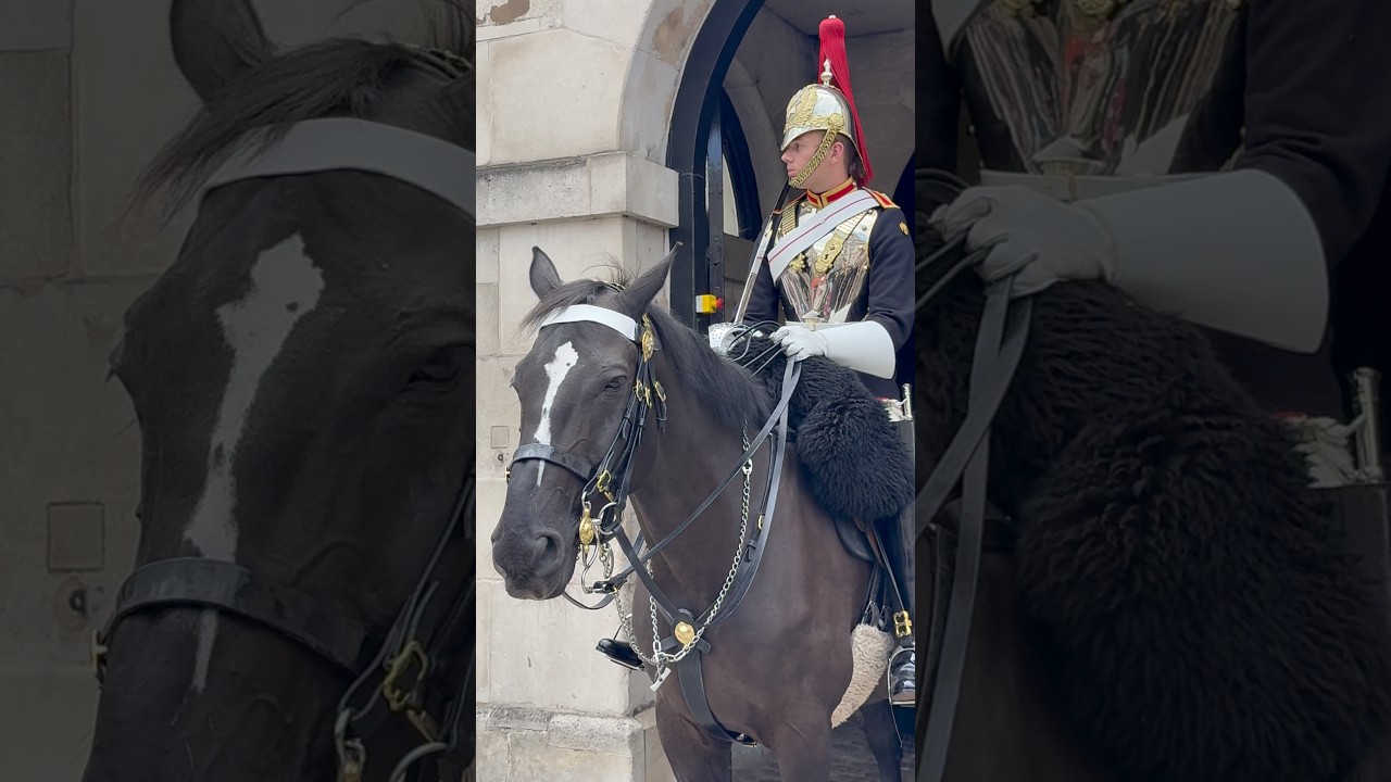 Horse Guards Parade London  #shorts