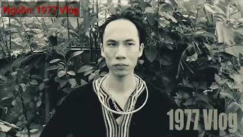 1977 Vlog - Những Câu Nói CÀ KHỊA LÀM NÊN TÊN TUỔI CỦA 1977 VLOG