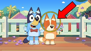 Animation Mistakes In Bluey, You NEVER Noticed