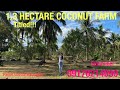 Vlog454:1.3 HECTARE COCONUT & CITRUS FARM FOR SALE IN PADRE GARCIA BATANGAS PHILIPPINES