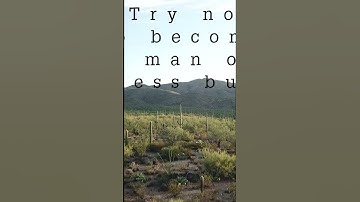 “Try not to become a man of success but..."