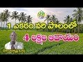 ఒక ఎకరా వారి పొలం లో నాలుగు లక్షలు|| How to Earn 4 Lakhs in 1 Acre paddy field