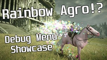 Shadow of the Colossus PS4 Debug Menu Secrets! (Rainbow Agro, The Top of the Temple and More!)